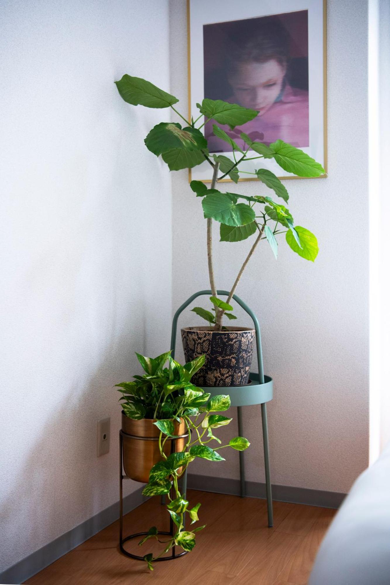 Renovated In June 2024 Apartment 3Mins Walk To Station 1Stop To Shinjuku 3Stop To Shibuya Tokió Kültér fotó
